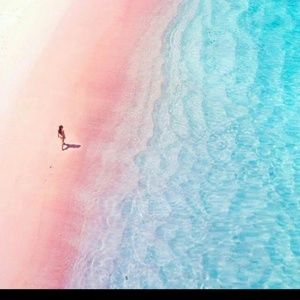 Meet your Posher, Teresa